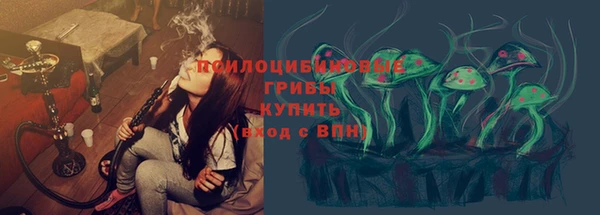 индика Алзамай