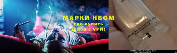 индика Алзамай