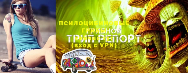 индика Алзамай