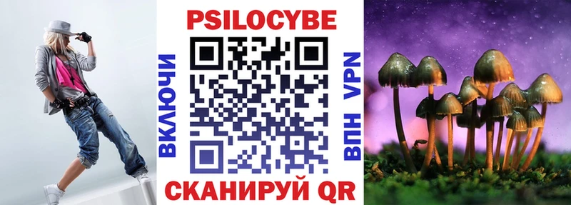 Псилоцибиновые грибы GOLDEN TEACHER купить закладку Злынка